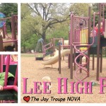 Lee High Park Springfield VA The Joy Troupe NOVA