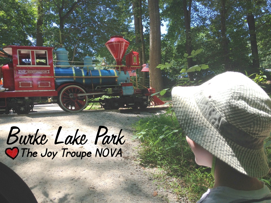 Burke Lake Park watching the train go by The Joy Troupe NOVA