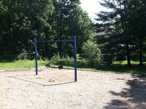 Baby Swings at Ft Ward Park