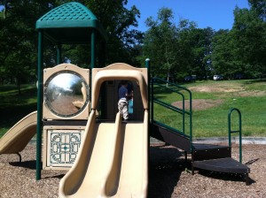 Slides at Ft Ward Park