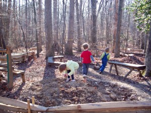 Hidden Oaks Nature Center: Nature Playce