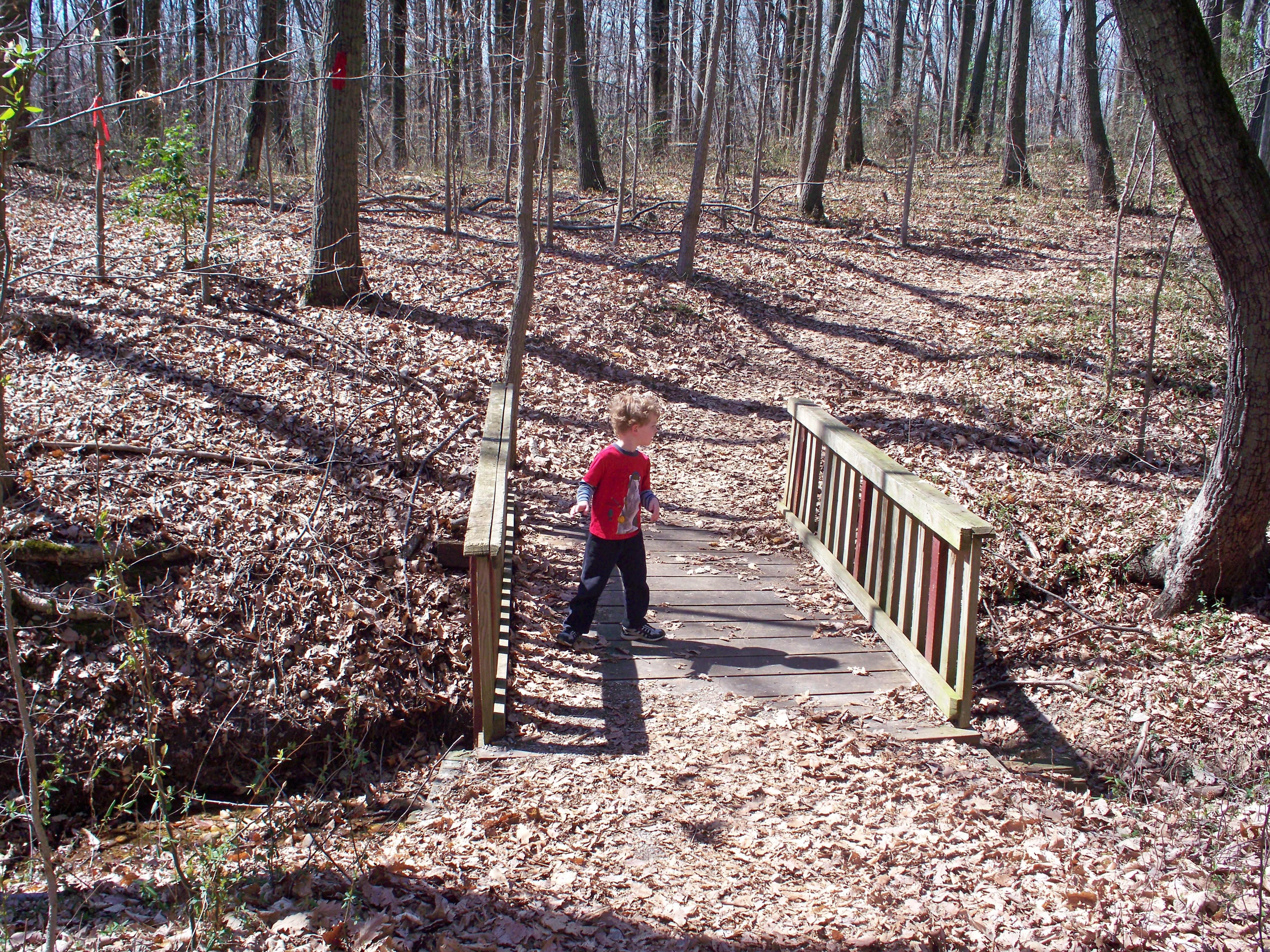 Bridge crossing on the Lee District Park Trail