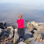 Watching the ducks at Belle Haven Marina