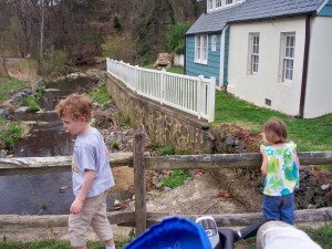 Overlooking the stream at Green Spring Gardens