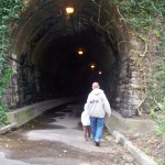 Spooky Tunnel at Windmill Hill Park