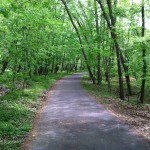 Paved Trail at Dora Kelley