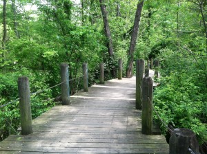 Holmes Run Trail