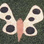 Butterfly inlay at Chessie's Big Back Yard