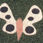 Butterfly inlay at Chessie's Big Back Yard