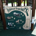 interactive animal sounds toy at Chessie's Big Back Yard