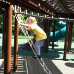 rope ladder at Chessie's Big Back Yard