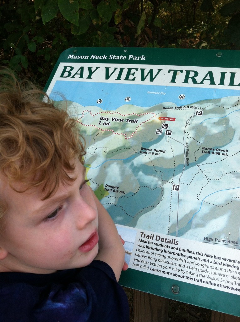 Bay View Trail at Mason Neck Park
