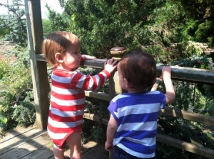 River Farm Park
