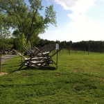 Vineyards at the Winery at Bull Run