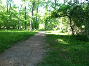 Gravel path on First Manassas Trail