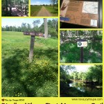 Stroller Hike: Manassas Battlefield Park First Manassas Trail