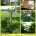 Stroller Hike: Manassas Battlefield Park First Manassas Trail