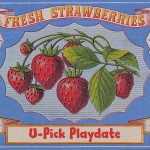 U Pick Strawberries Playdate