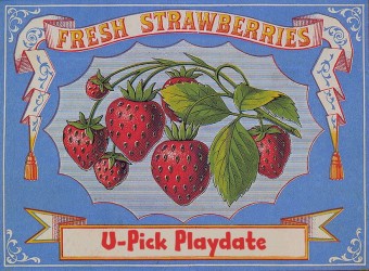 U Pick Strawberries Playdate