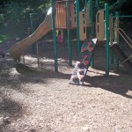 Climbing and slides at Danbury Forest Tot Lot