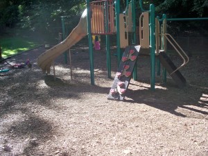 Climbing and slides at Danbury Forest Tot Lot