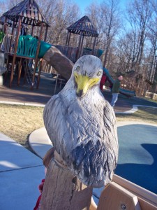 seagull at Chessie's Backyard Playground