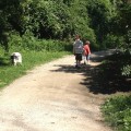 Kids trail hike at Jones Point Park The Joy Troupe NOVA Family trail guide