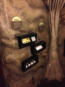 Learn about rocks and minerals in the Potomac Overlook Kids Cave