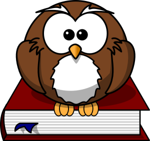 bookmark owl