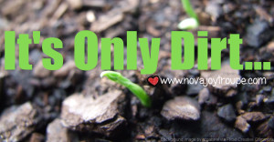 It's Only Dirt... but it can change the world in Northern VA. Garden with your kids!