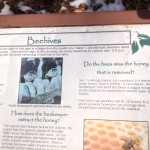 Bee Info Potomac Overlook Regional Park Arlington VA