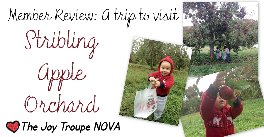 Stribling Orchard member review Joy Troupe NOVA by Dana Sasser