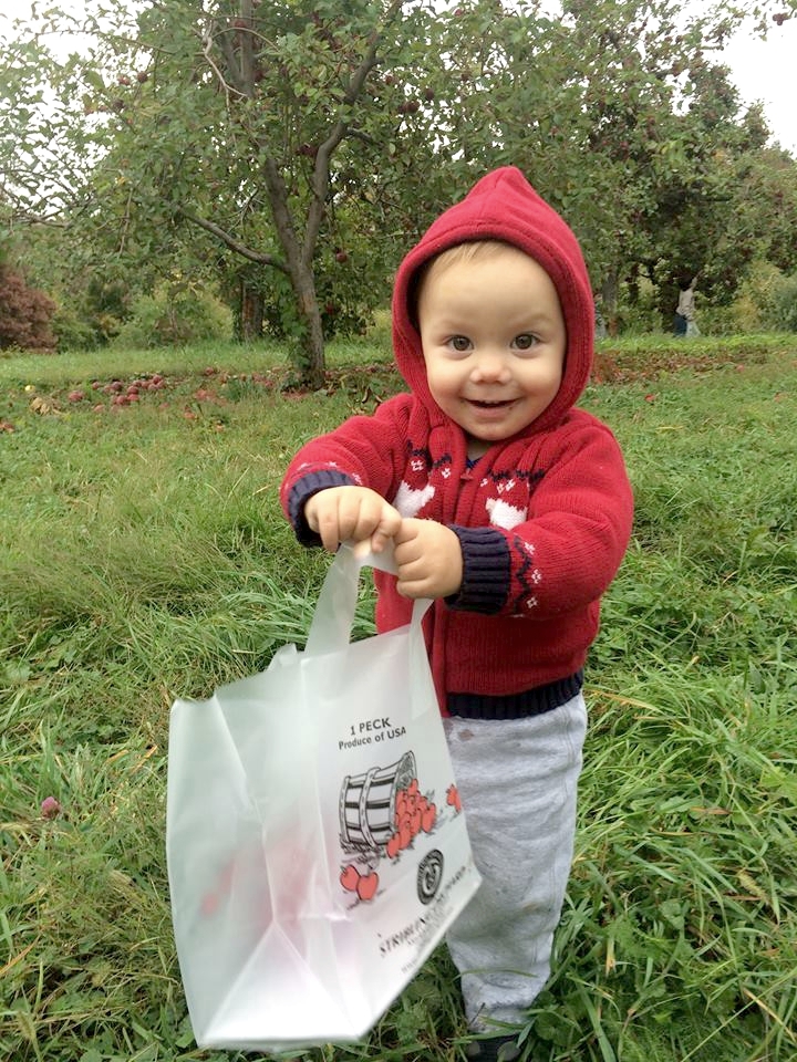 little apple picker at stribling orchard Photo Credit Dana Sasser