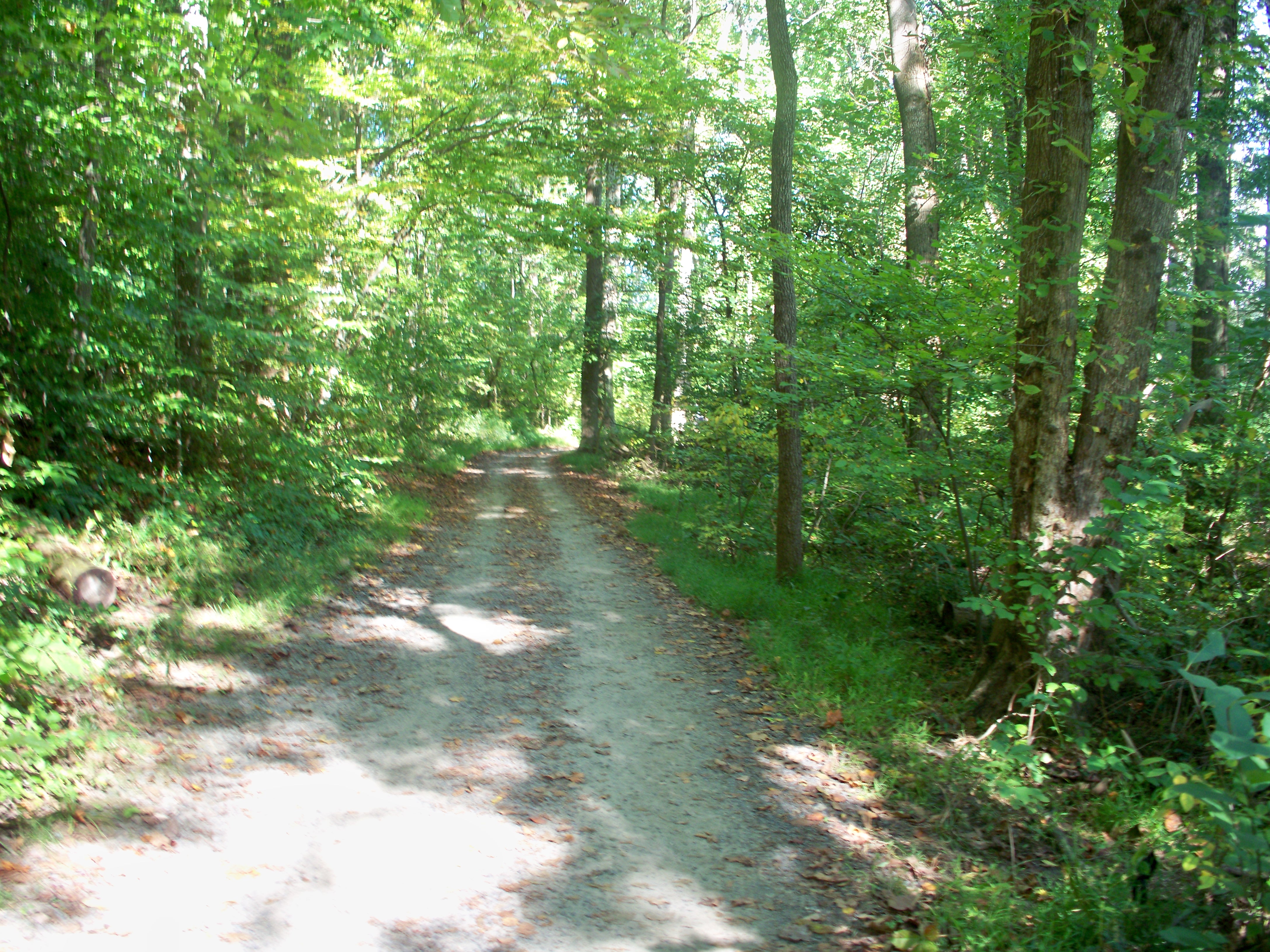 Lake Accotink Trail gravel surface section >> The Joy Troupe NOVA ...